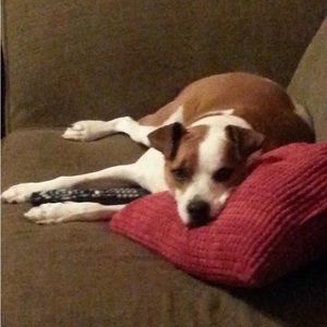 Meet your Posher, Sherry